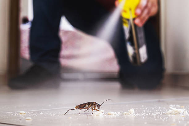 Best Mosquito Control Services  in Riverside, MO