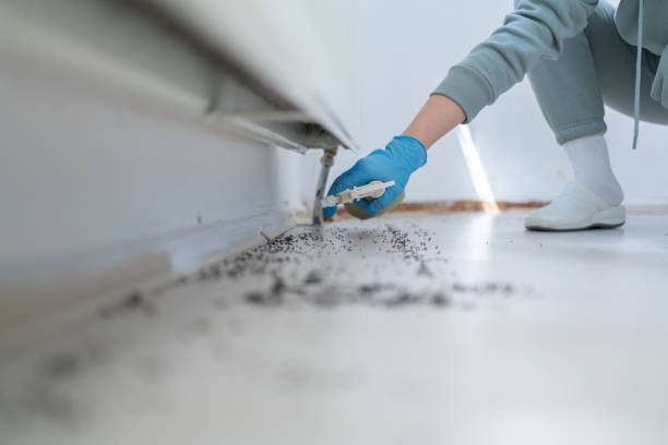 Reliable Riverside, MO Pest Control Solutions