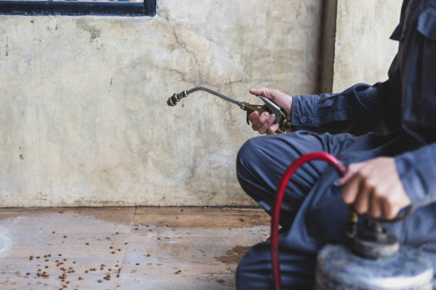 Best Local Pest Control Services  in Riverside, MO
